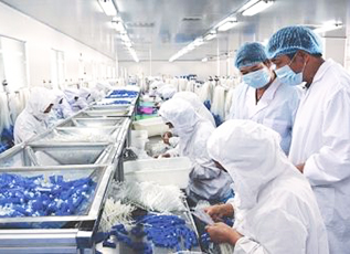 首页| G22恒峰集团中国官方网站